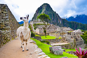 South America/Galapagos Islands