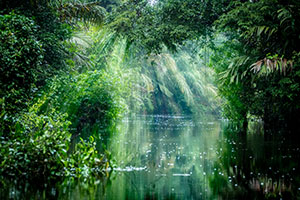 San Juan/Manaus (Amazon River)